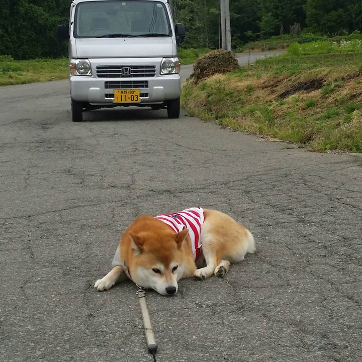 1e4eeacb d847 48a6 b580 d550a6c30293