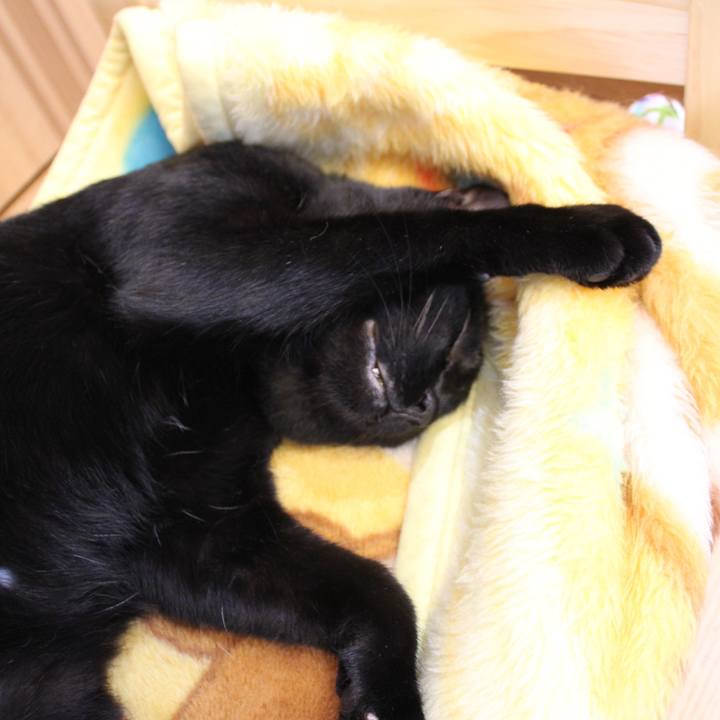 1e4ffaaa 4aab 434f 85eb 41b954f7237a