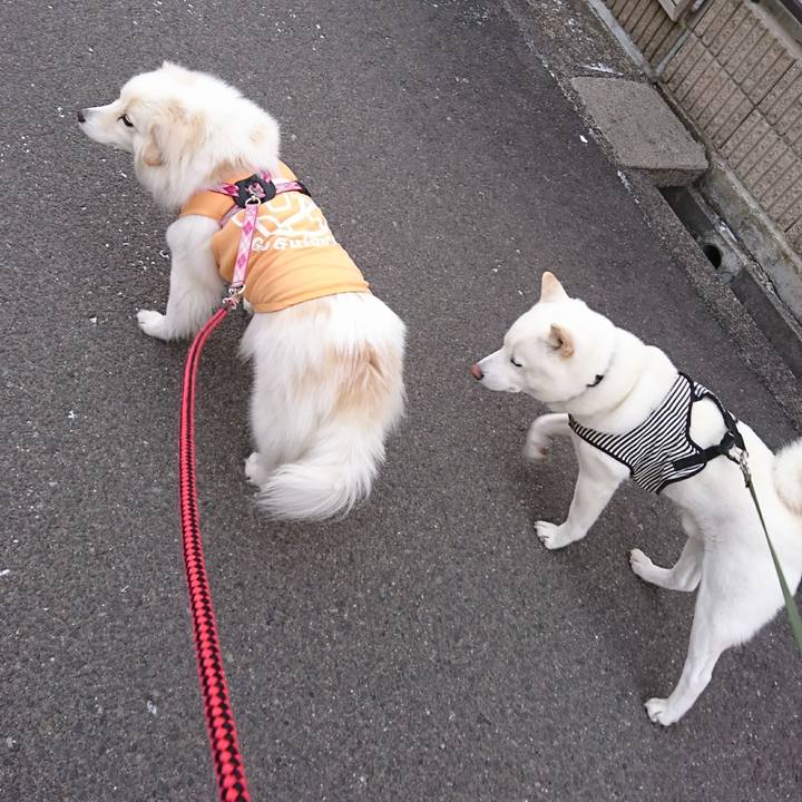 1e518f02 aeeb 4928 8c17 b4d4e10c4697