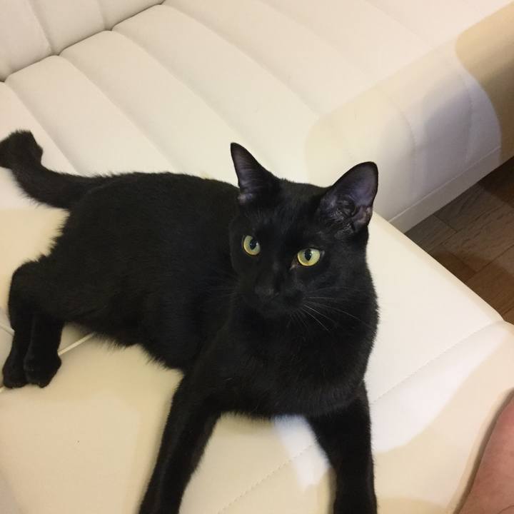 1e51a5ba a36f 402b b298 8d54f3106133