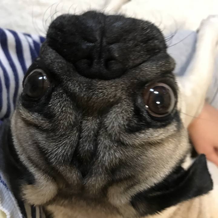 1e51af86 badc 4c5f 8bfa 3a792385aed4