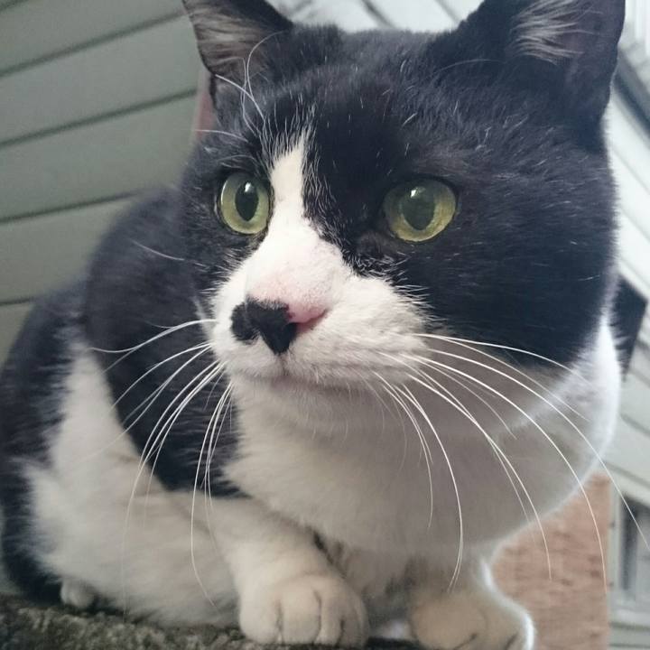 1e51b6b4 7e20 4ce4 b1fb 1871b02b69dc