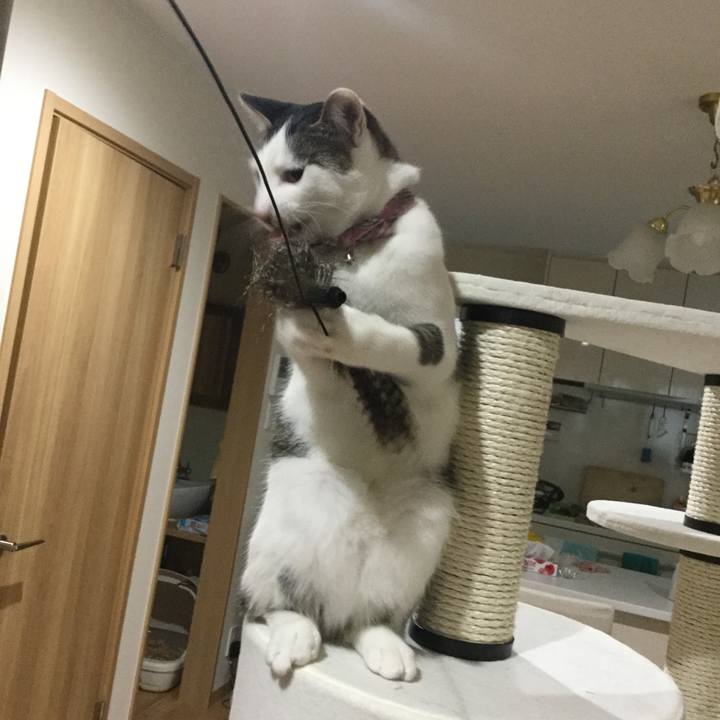 1e52390d f932 45cf 8c38 b85010ffcf03