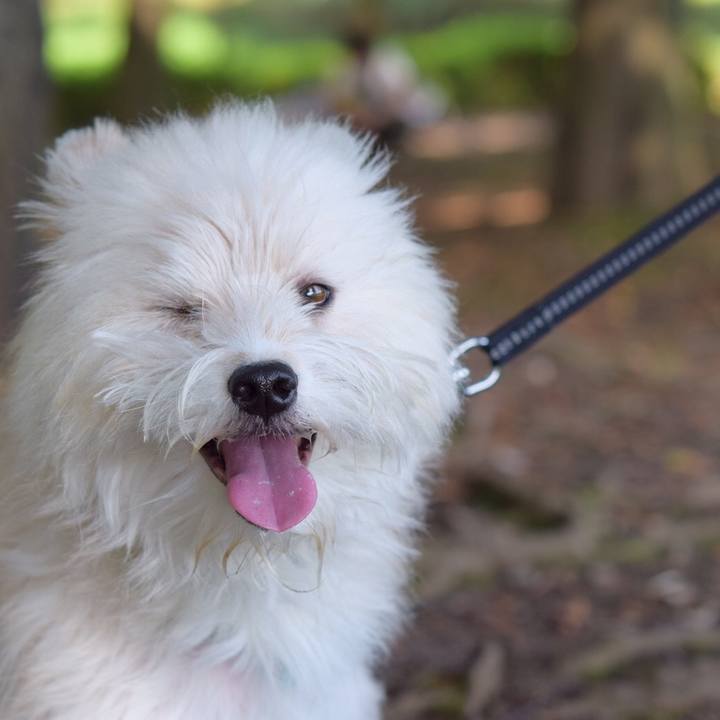 1e5257a2 9c23 4a24 8b7c aa50326fa804