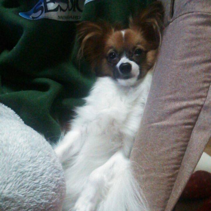 1e5296f5 c3d8 46a6 9f84 f6e498063da8