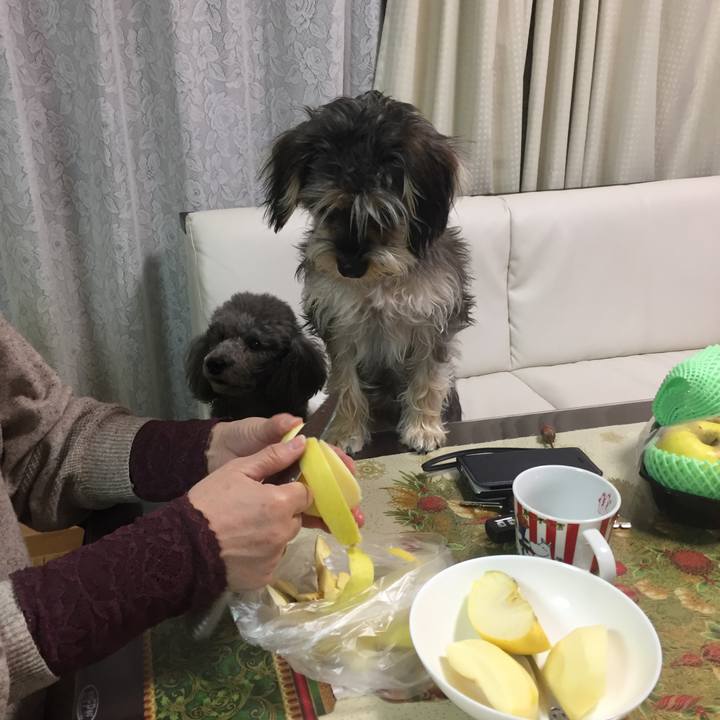 1e52beee 8123 4ece b366 ed02dbaef999