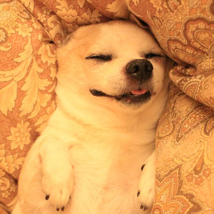 1e52eca7 c0b5 4ed1 afa8 1bd7d3f52f10