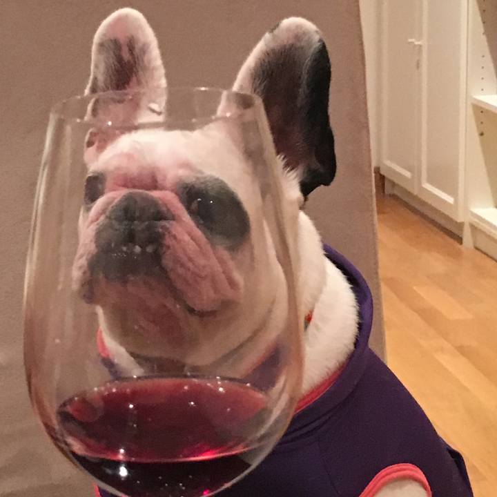 1e52f0fe 6173 44af aa3e 99bfee0306d4