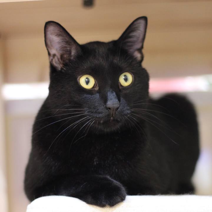 1e533dc9 c59b 4c7d afe3 d5ce0d89c997