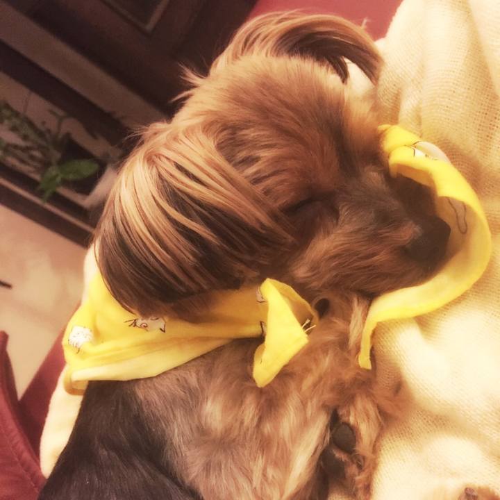 1e536af8 9088 4e51 8aa2 45389b574919