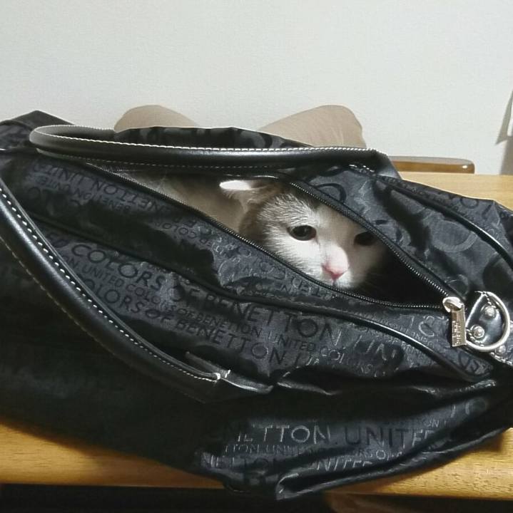 1e538cc7 286c 4acc 94d9 d6d4b8de58a3