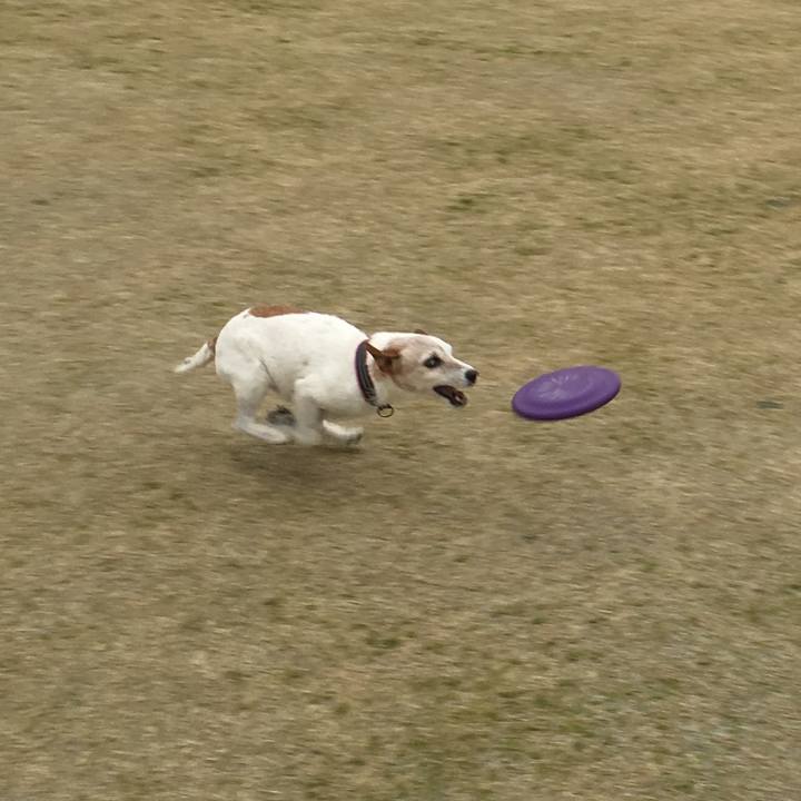 1e538ced 17c5 4789 88fb 18d9103e2768