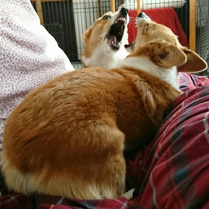 1e53a8bd 5bc1 452b b4ea 149b2c5444c7