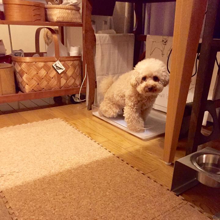 1e54011a 4bc4 4b90 9d33 491c53529b3f