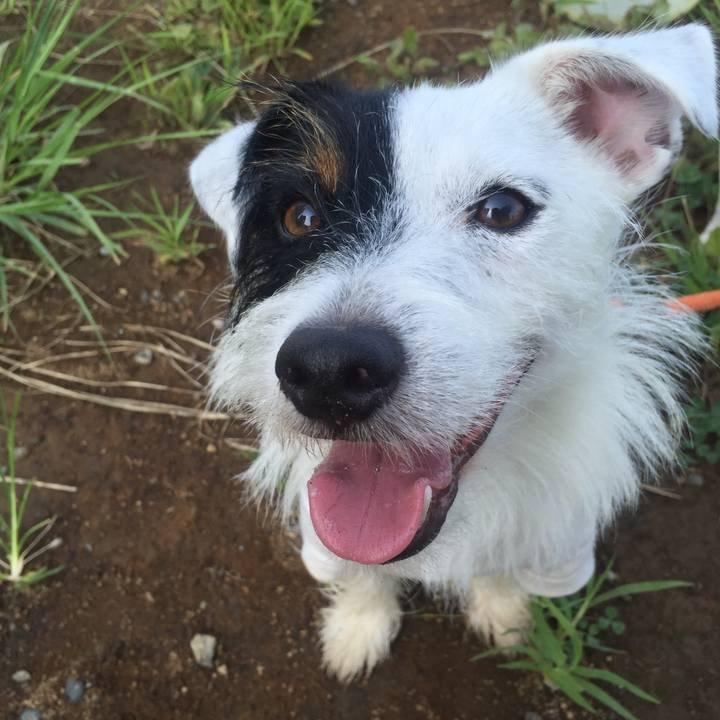 1e54aa30 3a54 4660 abbf aaf62f949e86