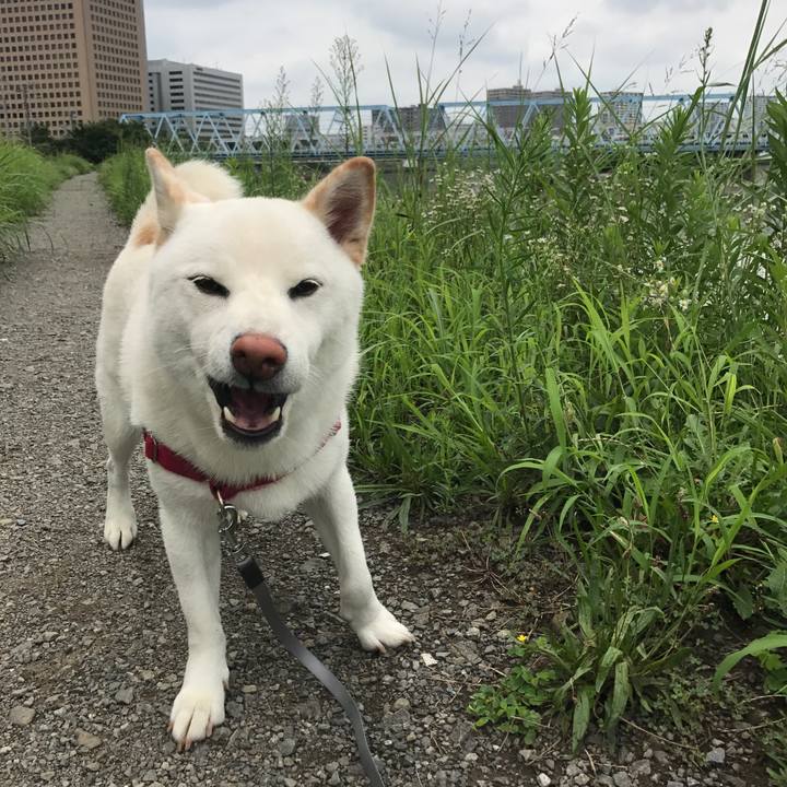 1e54d963 562f 4c68 8992 ac3182267eee