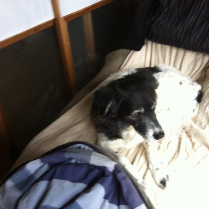 1e5560be d863 4e05 8c23 42a93661b9f0