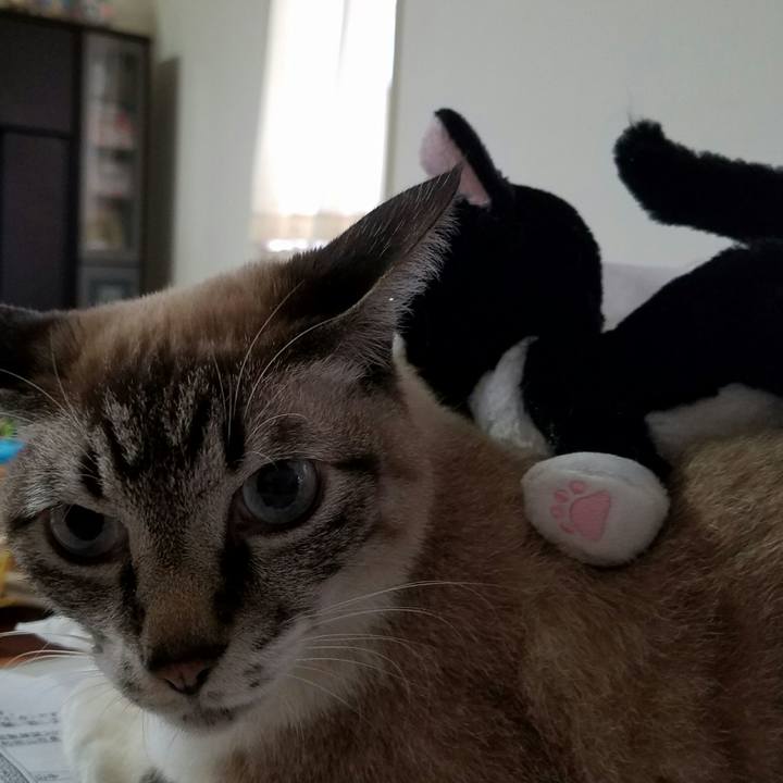 1e557fa3 7e8d 4d3c a53f c599fe1547aa