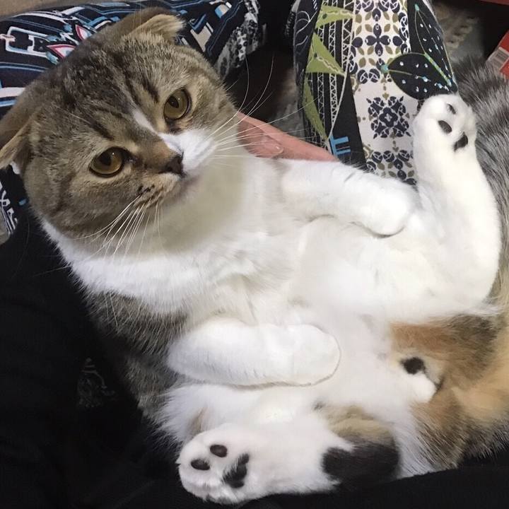 1e56a14d 2259 4708 a890 1e0a0c2d3b35