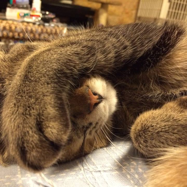 1e56d3ed 9fff 4bd6 8fc9 428f957d5d4d