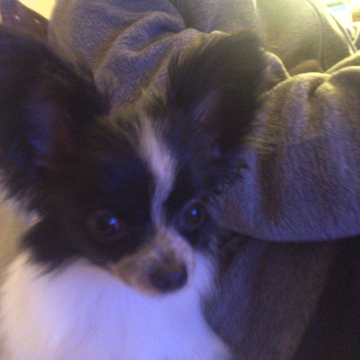 1e56fbc8 098c 4ab8 95dc 6491166e96c7