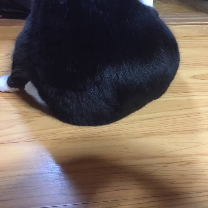 1e576e37 c732 4495 956e 06089c88f5d1