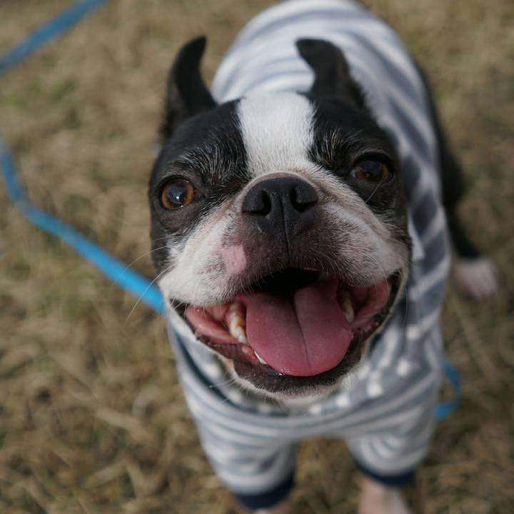 1e579021 bfcf 43a1 adac 40355ec09e44