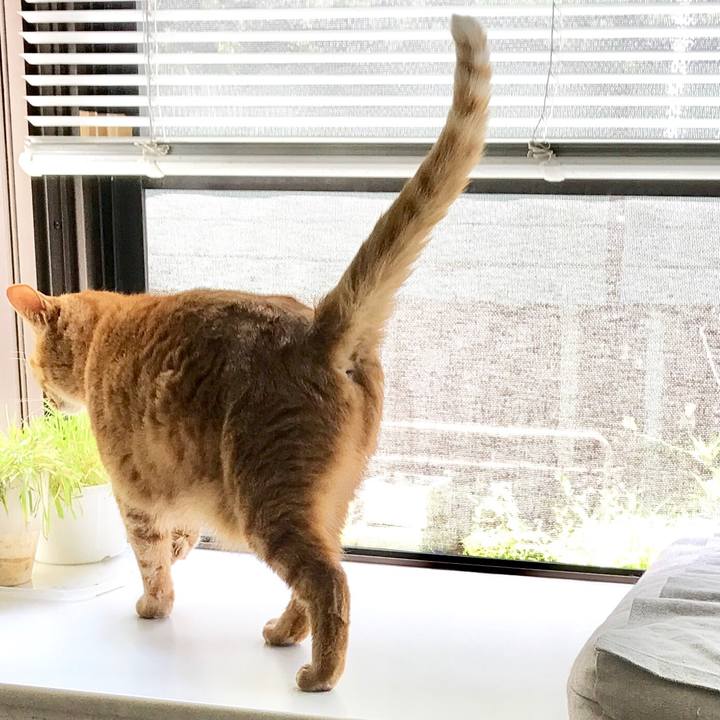 1e57e644 db7d 4e44 b1b6 9c514f222455