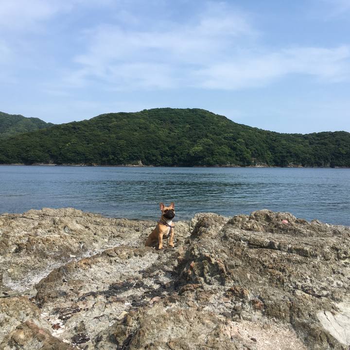 1e588395 2254 4d40 a851 0a2ded49d848