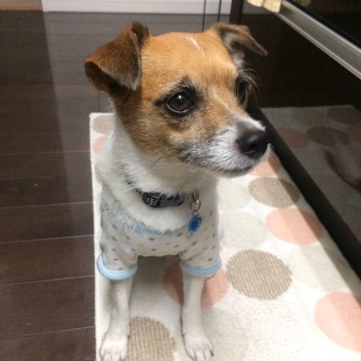 1e58f55d 437c 485a 814b 71bee88d27e0