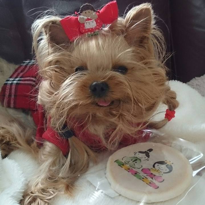 1e593163 7fa7 4426 82b0 86122970f583