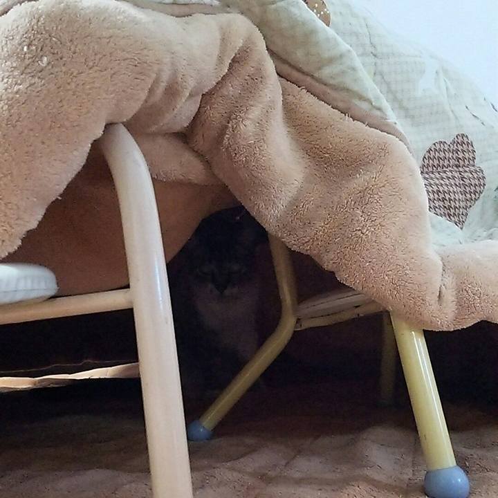 1e59cf9f 2066 4cd8 bc28 8e1abb5742f3