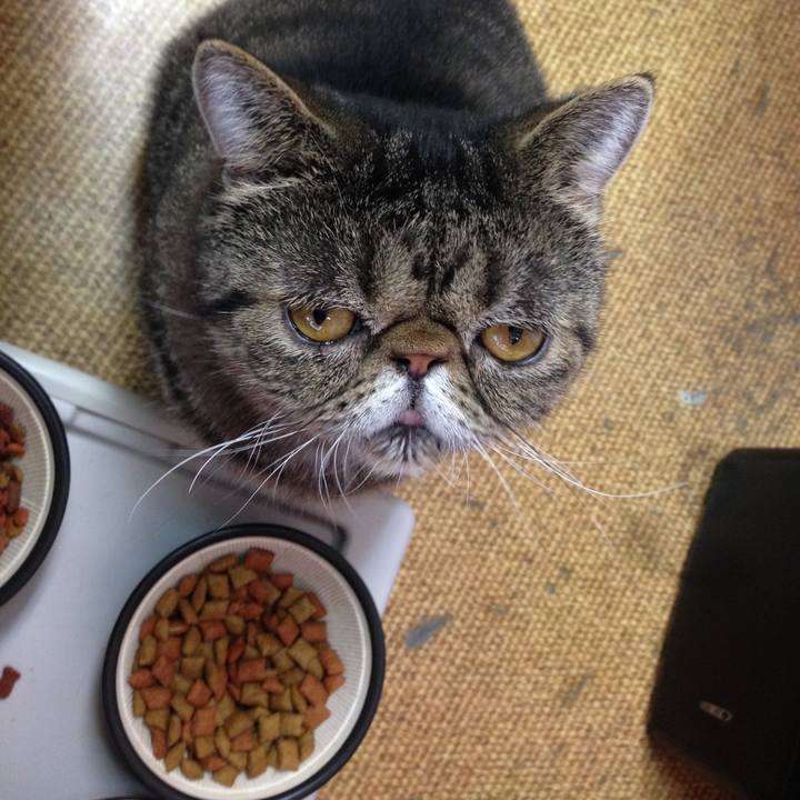 1e59f478 ca4e 4c67 97c5 fcede3985ff1