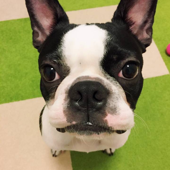 1e5afbda 58cb 48d9 a38b 03a2274f86b4