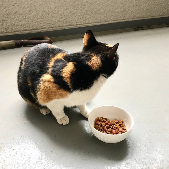 1e5b220c 5ad5 4be7 9dcd 97208893a504