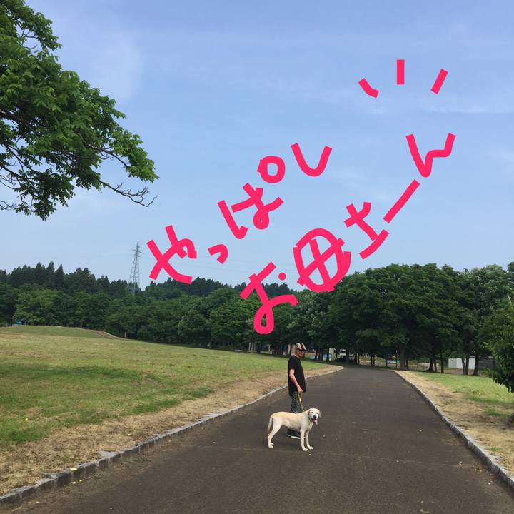 1e5b3a06 6c2b 4898 936c b5d144bce729