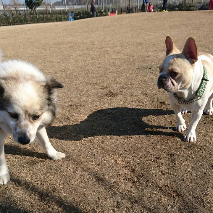 1e5b3c6b 5006 44e9 9a1a 46524db4234c