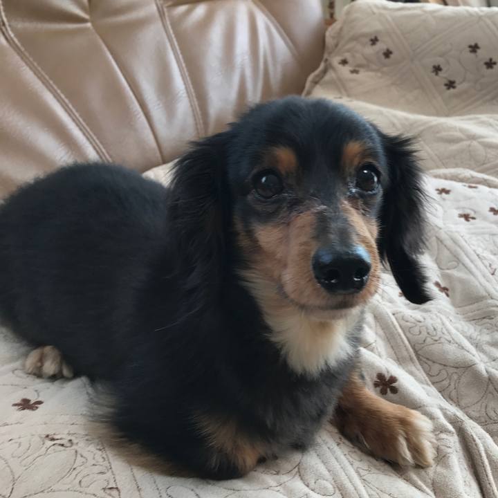 1e5d5cbc 24db 457f ab37 5f55644d5a40