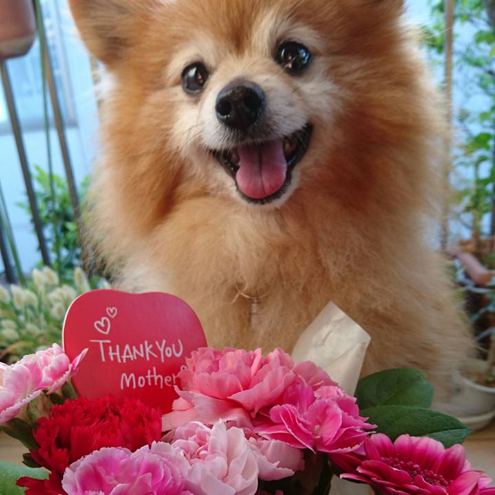 1e5d889a 505a 42a8 aae4 08ddf0c39b10