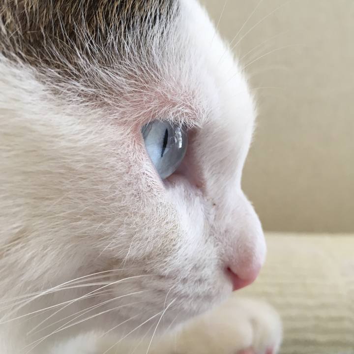 1e5dbaab ed00 44ed 954b 89c03688c538