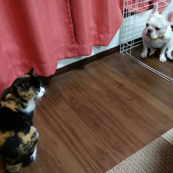 1e5deea5 d7a7 44e9 bdfa 4626723e7b21