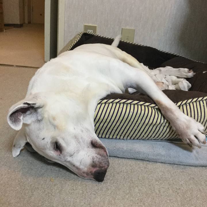 1e5f113c 1695 45f3 a27f edd828cd0077