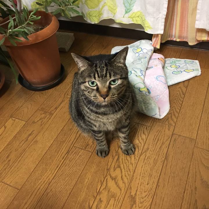 1e5f384d 04b6 4e90 9d2b a175edb4654d