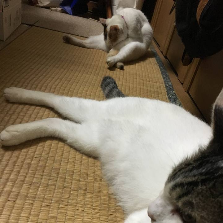 1e610a55 fae5 4e14 a913 58edfdf111ed