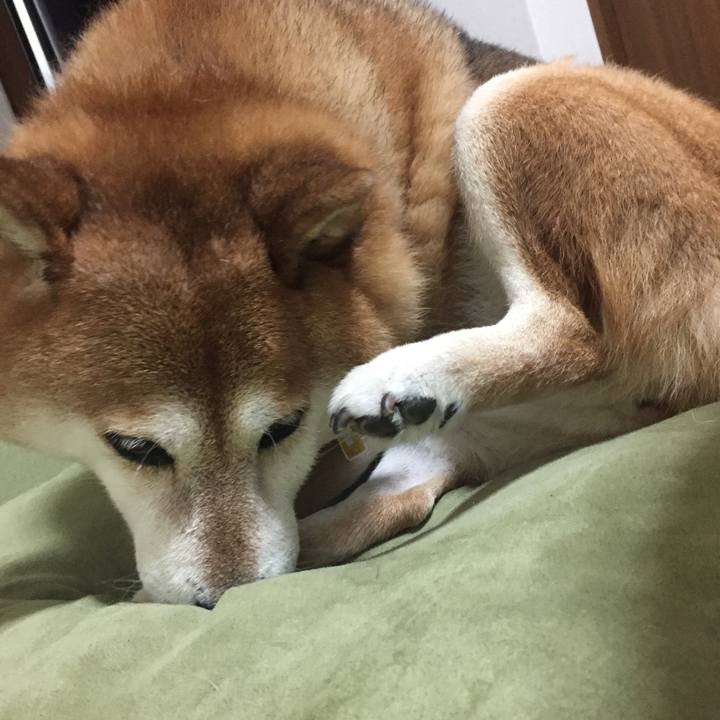 1e616781 557e 4442 9064 943cfcd28270