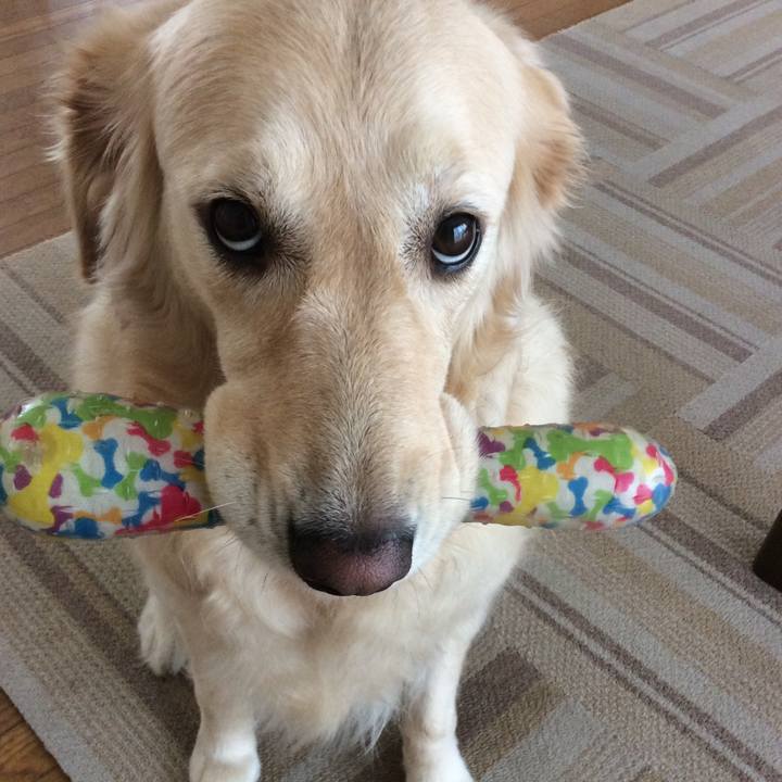 1e617fdb a697 4db1 bddf 2f88a9ee16b8