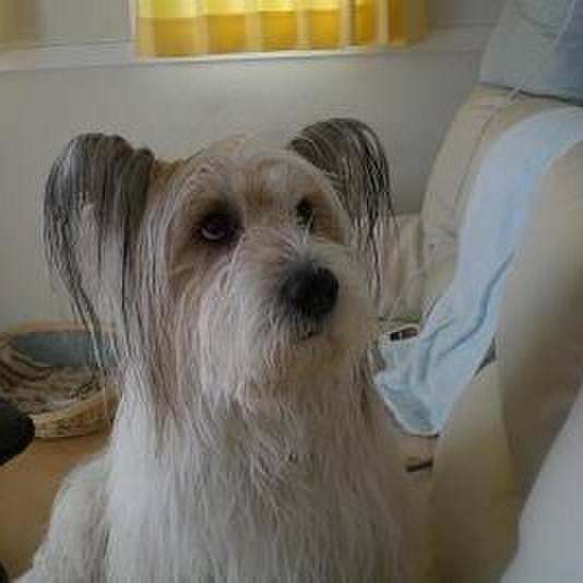 1e61b247 b21b 42aa ad41 d5a2da7f0d46