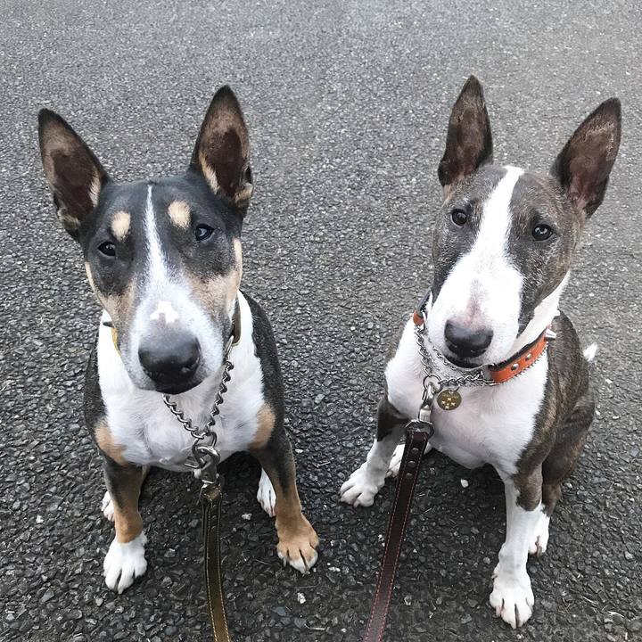 1e62abaa 30a8 49f1 a20d e35497bfa4b0