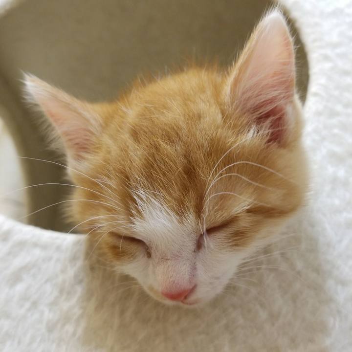 1e62be6b d36e 467c a335 135dfa3166de