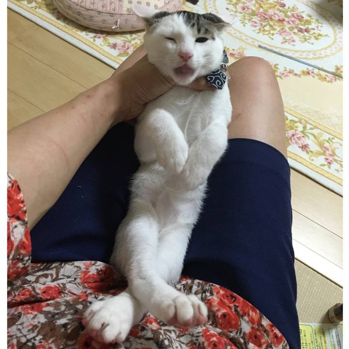 1e631fd4 5237 4ad9 905e e89d402ffdd2